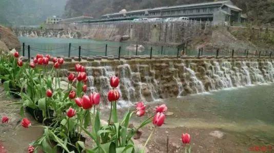史上最贱小游戏之TV秀