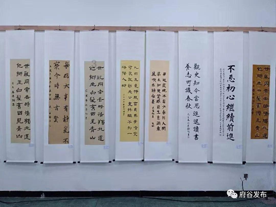滚动的奶酪